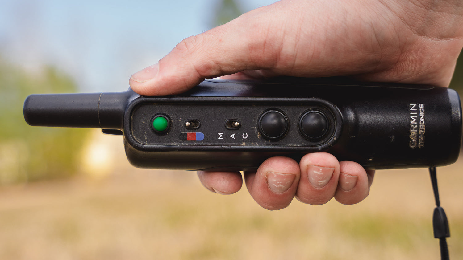 Electronic Collars
