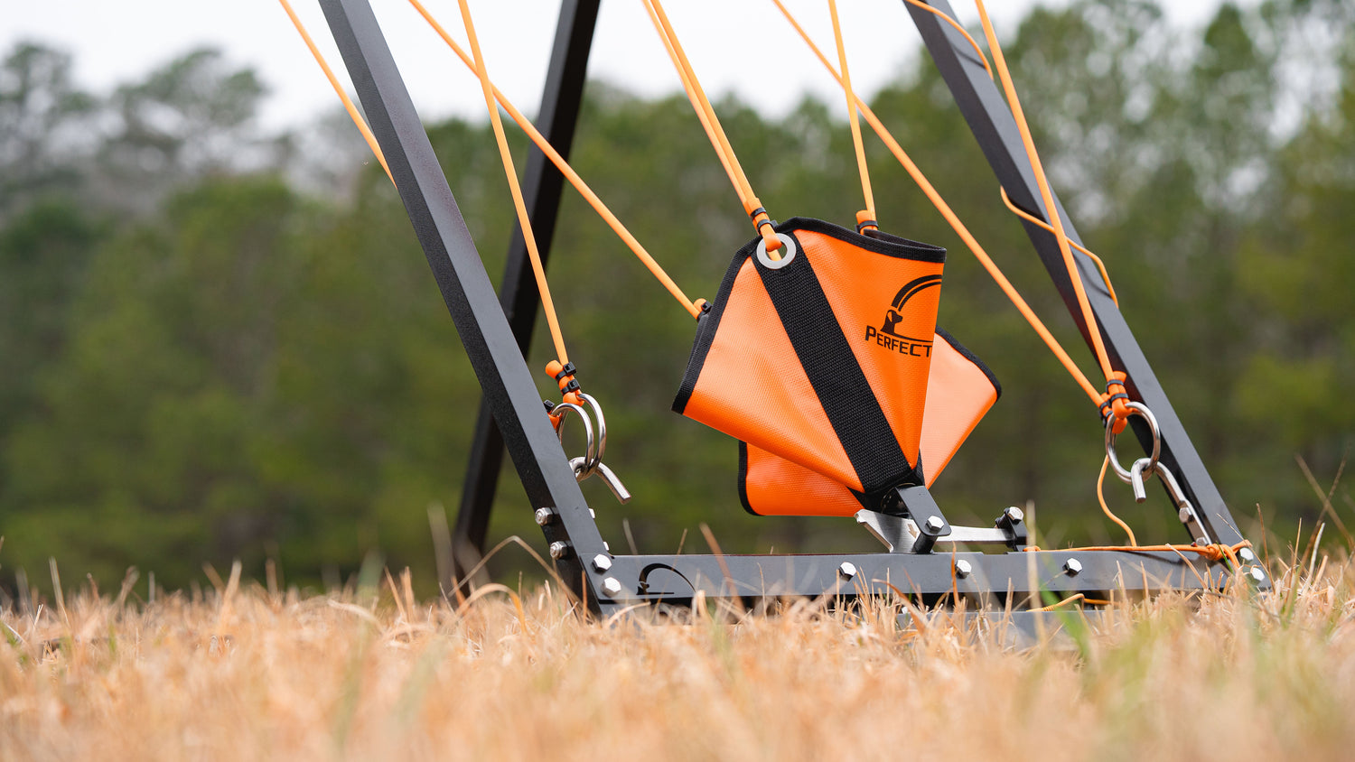 Remote Throwing Systems