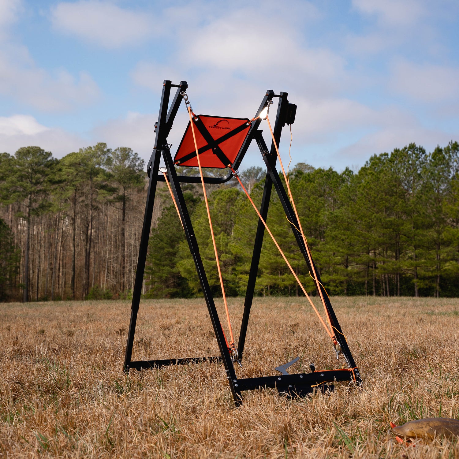 Remote Throwing System