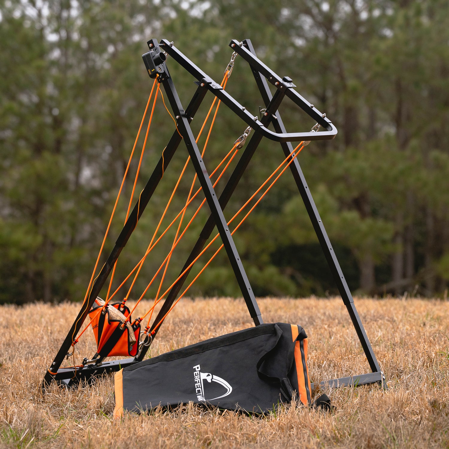 Remote Throwing System