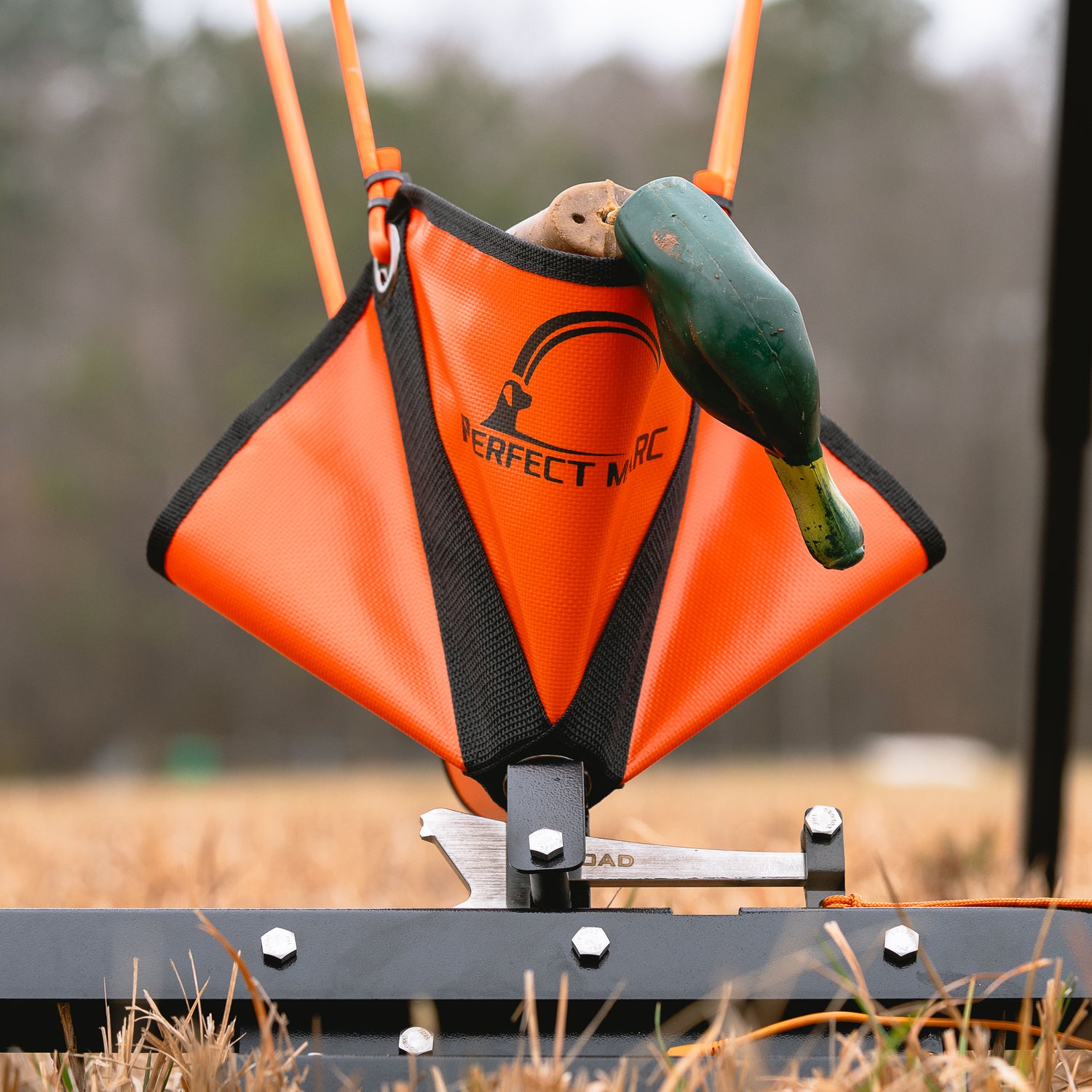 Remote Throwing System